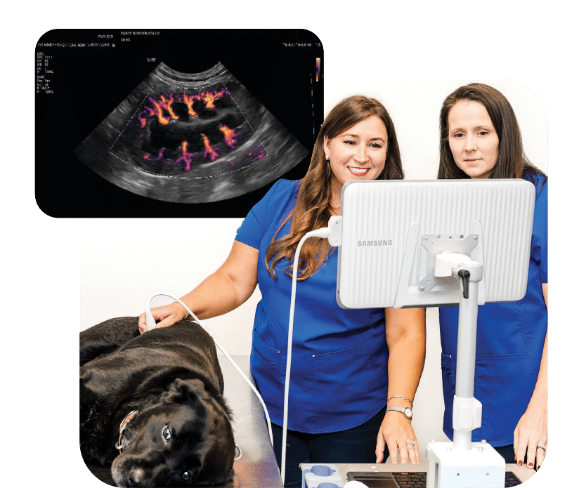 Samsung Oncura Partners